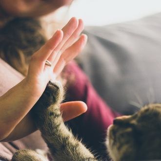 Dr. Gaëlle Morat - Vétérinaire Ostéopathe - Isère et Savoie - Une approche douce pour vos chiens, chats et NAC